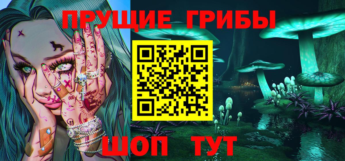Губкин  Псилоцибиновые грибы Psilocybine cubensis  Вход с VPN 