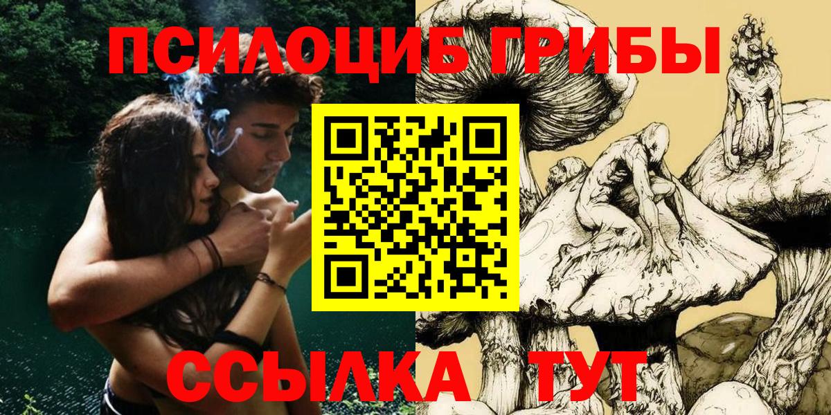 Псилоцибиновые грибы Cubensis Губкин
